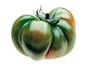 TOMATE RAF DULCE